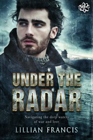 bigCover of the book Under the Radar by 