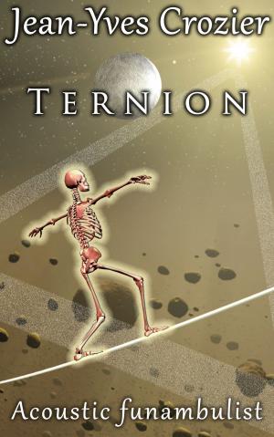 Book cover of Ternion