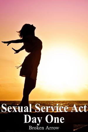 Book cover of Sexual Service Act: Day One