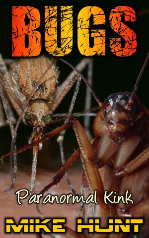 bigCover of the book Bugs by 