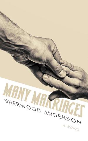 Cover of the book Many Marriages by S.R. Everett