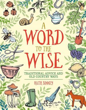 Cover of the book A Word to the Wise by Michael Tinkham