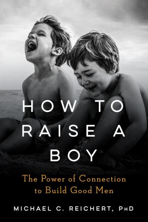 Cover of the book How To Raise A Boy by Roald Dahl