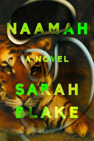 Cover of the book Naamah by Heather Blake