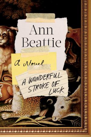 Cover of the book A Wonderful Stroke of Luck by Kelly Dark