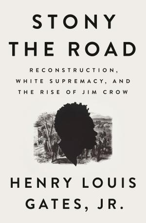 Book cover of Stony the Road