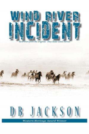 Book cover of Wind River Incident