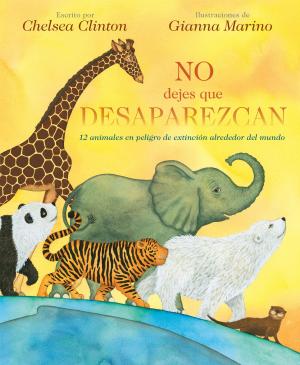 Cover of the book No Dejes Que Desaparezcan by Justin Sayre