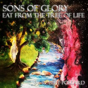 bigCover of the book Sons of Glory by 