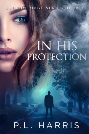 Cover of the book In His Protection by Wendy Lynn Clark
