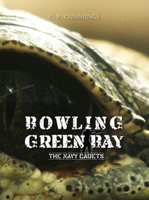 Cover of the book Bowling Green Bay by Doug Wakeling