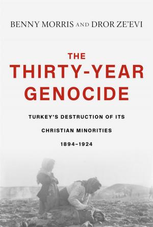 Cover of the book The Thirty-Year Genocide by Franklin E. Zimring