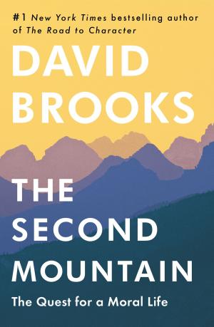 Cover of the book The Second Mountain by Tessa Dare