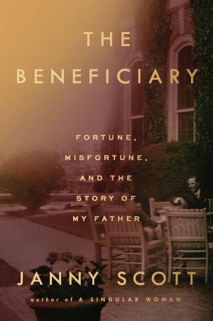 Cover of the book The Beneficiary by Amir Aczel