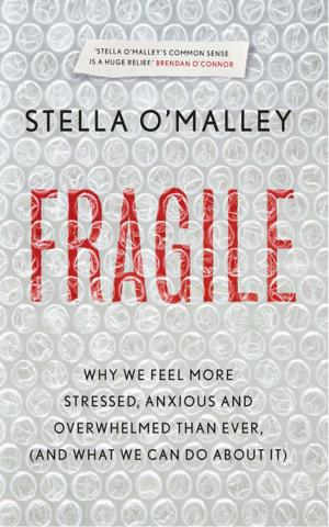 Cover of the book Fragile by Chris Dooley