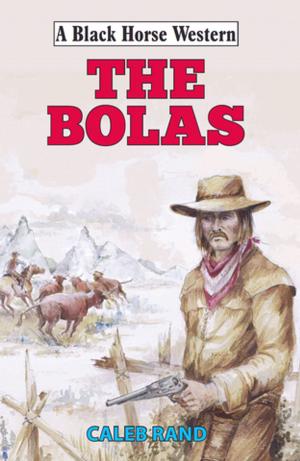 Cover of the book The Bolas by Jack Sheriff