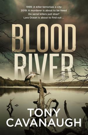 Cover of the book Blood River by Colin Thiele