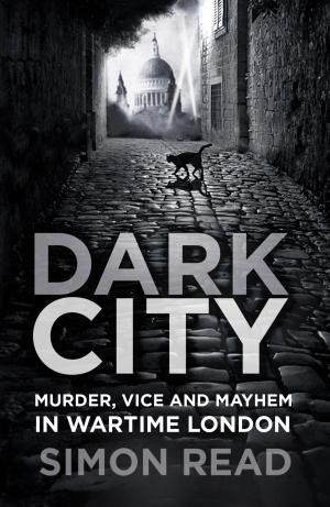 Cover of the book Dark City by Karen Huston Karydes