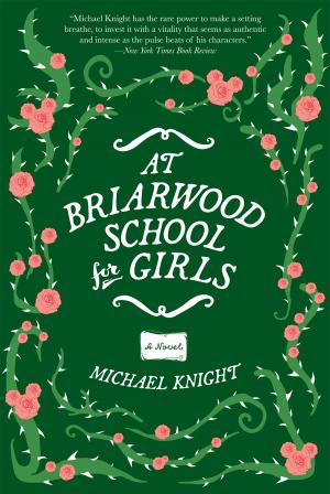 Cover of the book At Briarwood School for Girls by Tracy Borman