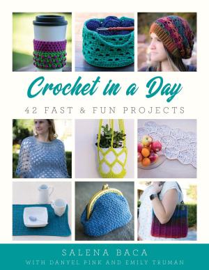 Cover of the book Crochet in a Day by Sandy Allison