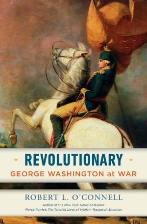 Cover of the book Revolutionary by Troy Denning