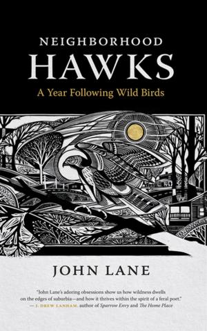 Book cover of Neighborhood Hawks
