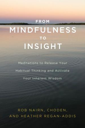 Cover of the book From Mindfulness to Insight by Diane Eshin Rizzetto