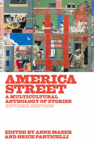Cover of the book America Street: A Multicultural Anthology of Stories (Revised Edition) by Matthew Vollmer