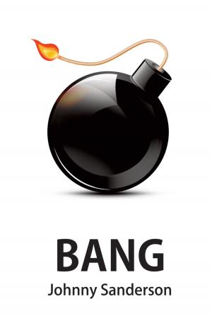 Cover of the book BANG by Allison Smith
