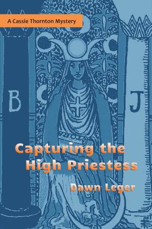 Book cover of Capturing the High Priestess