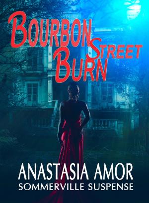 Book cover of Bourbon Street Burn: Sommerville Suspense