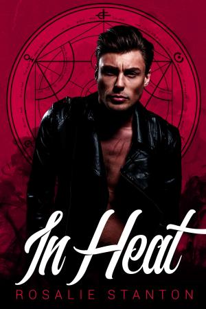 Cover of the book In Heat by Michelle Hazen