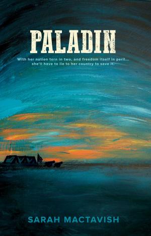 Cover of the book Paladin by Maria K.