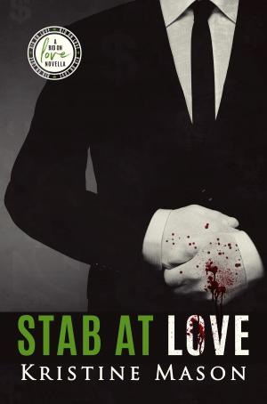 Cover of Stab at Love
