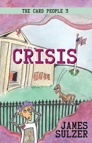 Cover of the book Crisis by Pippa Jay