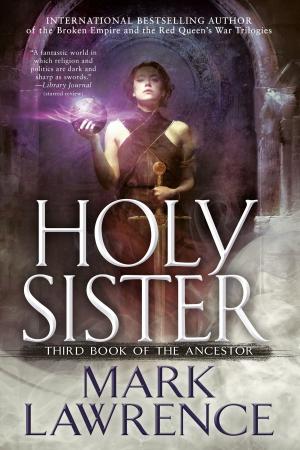 Cover of the book Holy Sister by D. G.  Novak