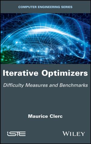 Cover of the book Iterative Optimizers by Nick A. Dauber, Jae K. Shim, Joel G. Siegel
