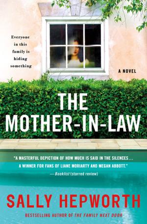 Cover of the book The Mother-in-Law by Terry McAuliffe, Steve Kettmann