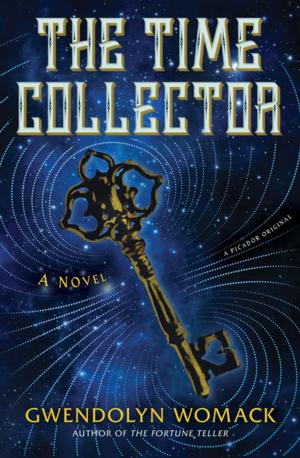 Book cover of The Time Collector