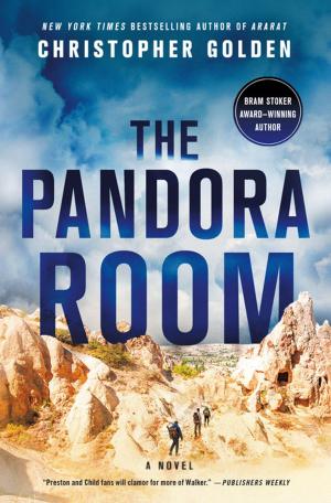 Book cover of The Pandora Room