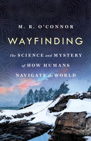Cover of the book Wayfinding by Karen Shepard
