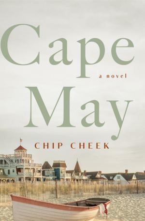 Cover of the book Cape May by Anne Enright