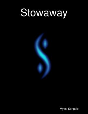 Book cover of Stowaway