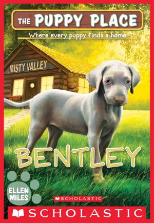 Cover of the book Bentley (The Puppy Place #53) by Simon Mason