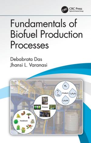 Cover of the book Fundamentals of Biofuel Production Processes by John E. Proctor, Daniel Melendrez Armada, Aravind Vijayaraghavan