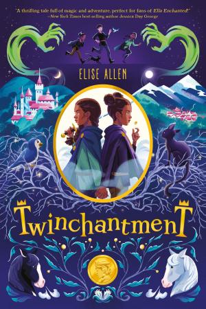 Cover of the book Twinchantment by Bruce Hale