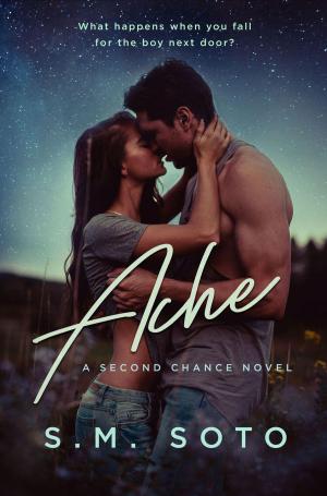 Cover of the book Ache by Michelle Jester