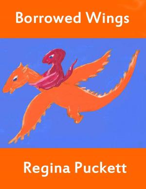 Cover of Borrowed Wings