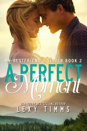 bigCover of the book A Perfect Moment by 