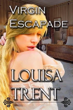 Book cover of Virgin Escapade
